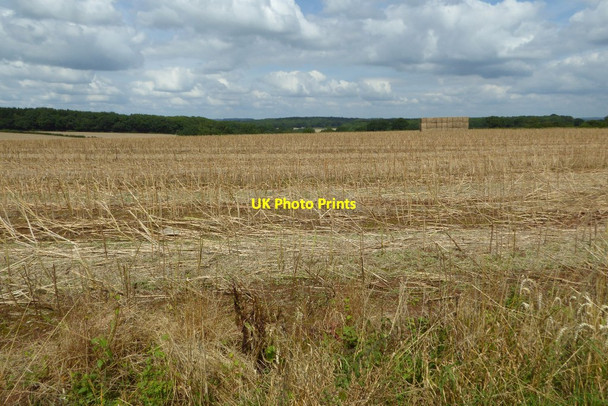 Photo 6"x4" Oakleaze Pitch St Briavels c2017