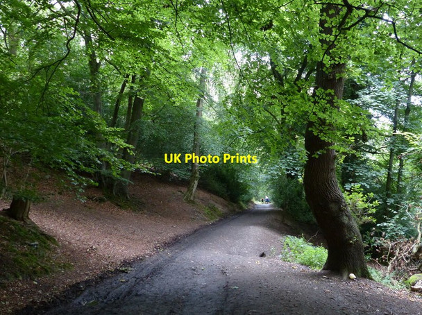 Photo 6"x4" Track to the car park at the Wrekin Cluddley c2017