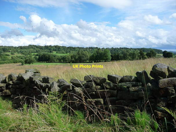 Photo 6"x4" Central section of Cuckoostone Dale Slack\/SK3362 c2017