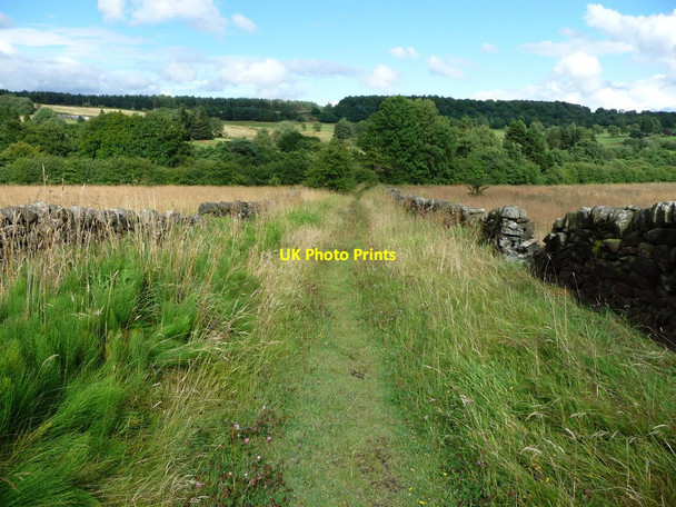 Photo 6"x4" Public footpath crossing Cuckoostone Dale Slack\/SK3362 c2017