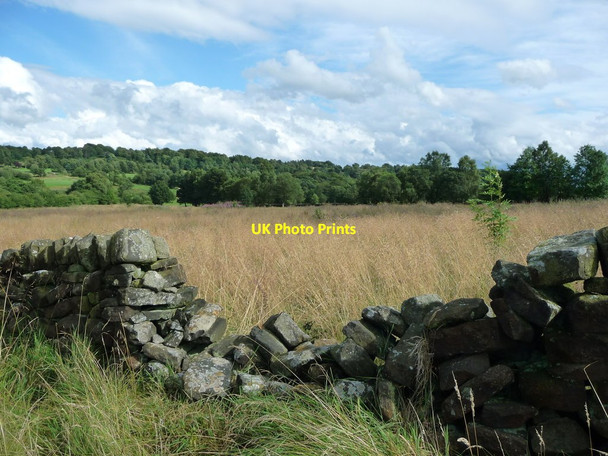 Photo 6"x4" Broken wall, Cuckoostone Dale Slack\/SK3362 c2017