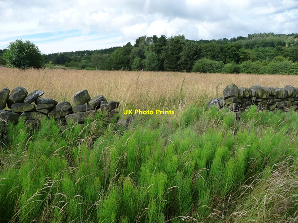Photo 6"x4" Signs of disuse in Cuckoostone Dale Slack\/SK3362 c2017