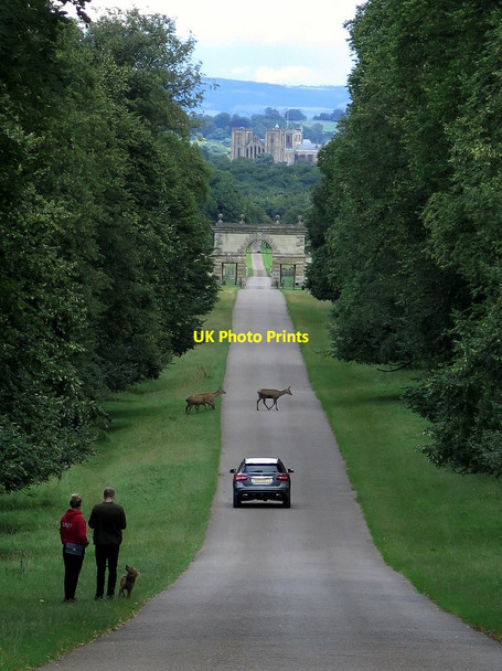 Photo 6"x4" Drive, Studley Park Studley Roger c2017