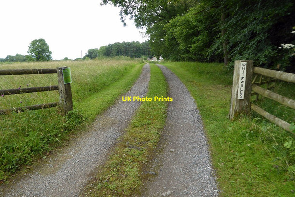 Photo 6"x4" Entrance to Whitehalls Park Hill\/ST5699 c2017