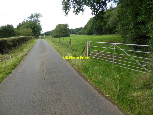 Photo 6"x4" Road to Madgetts Farm Brockweir c2017