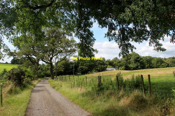 Photo 6"x4" Drumhead driveway Kelhurn c2017
