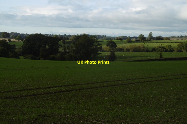 Photo 6"x4" Winter cereals, Sapey Common Upper Sapey c2016