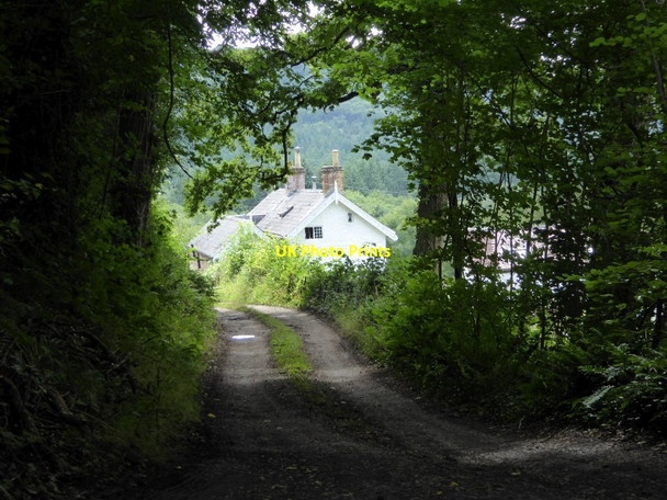 Photo 6"x4" Cottage above the Wye Valley at Mork Mork c2017