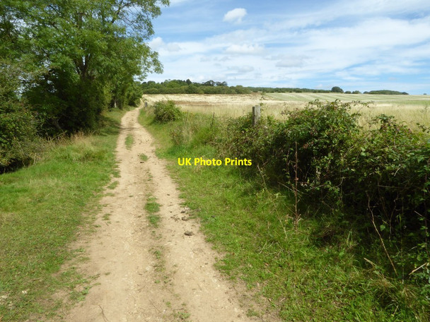 Photo 6"x4" Bridleway above Aldwick Wood Kemerton c2017