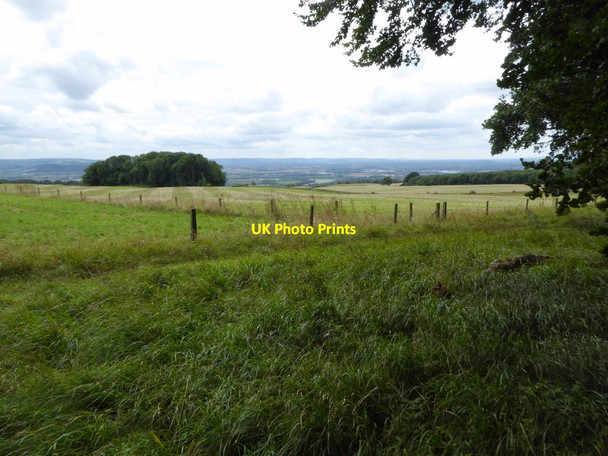 Photo 6"x4" View to the south east from Bredon Hill Bredon's Norton c2017