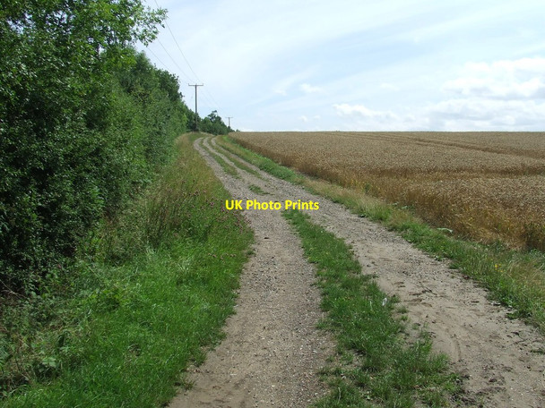 Photo 6"x4" Farm Track And Path Saffron Walden c2017