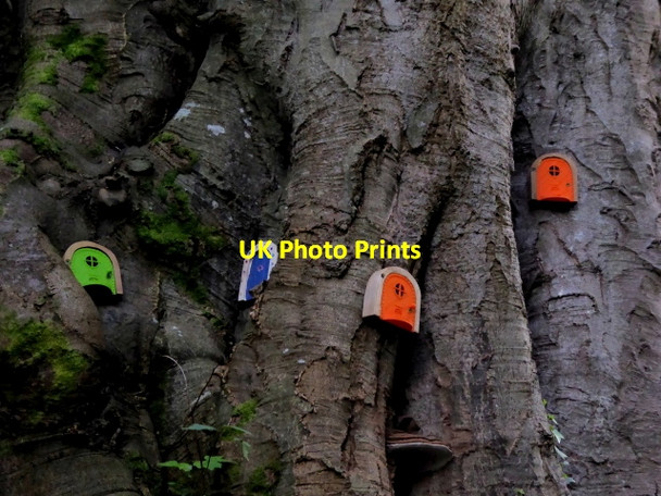 Photo 6"x4" Fairy houses, Donegal Donegal c2017