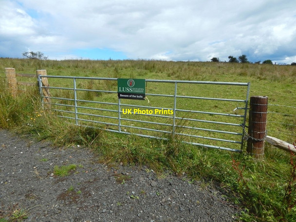 Photo 6"x4" Field gate Helensburgh c2017