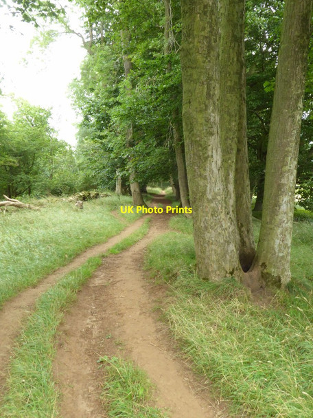 Photo 6"x4" Bridleway above The Warren Bredon's Norton c2017
