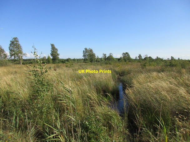 Photo 6"x4" Peat bog, Goole Moors Will Pitts c2017