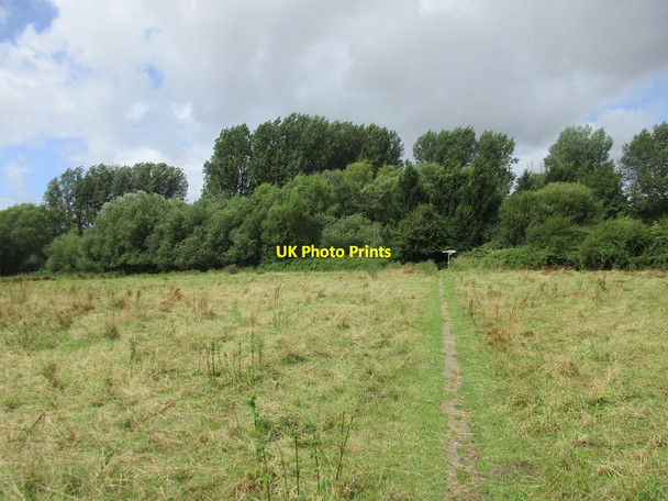 Photo 6"x4" Footpath from the church to the village, Fishbourne Chichester c2017