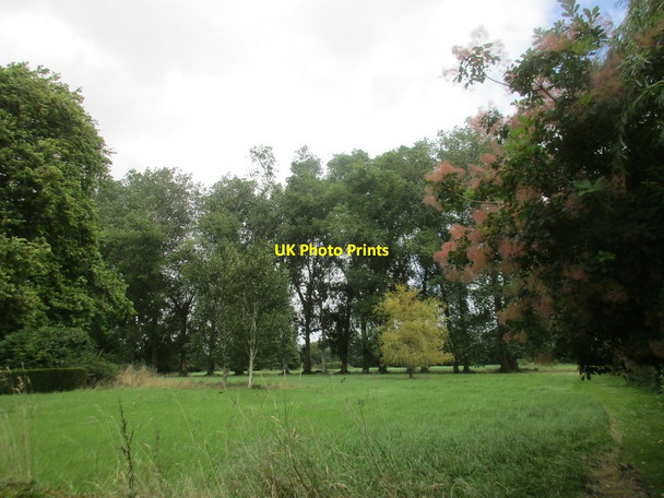 Photo 6"x4" The grounds and avenue of Rymans Chichester c2017