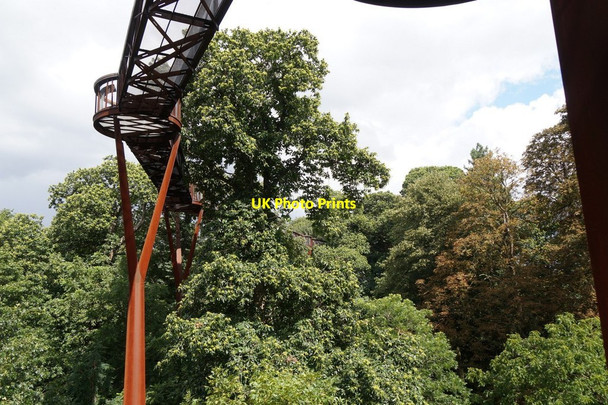 Photo 6"x4" The Treetop Walkway, the Royal Botanic Gardens, Kew Brentford c2017