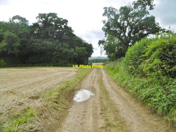 Photo 6"x4" Hinton St Mary, farm track Hinton St Mary c2017