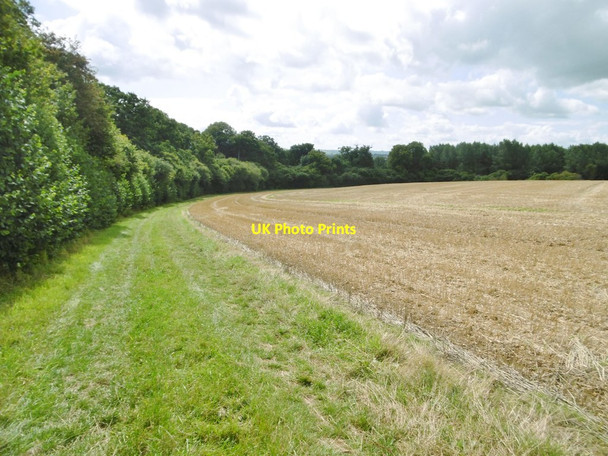 Photo 6"x4" Hinton St Mary, stubble field Hinton St Mary c2017