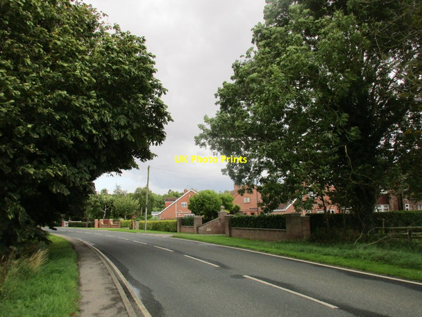 Photo 6"x4" Main Road, Wyton Wyton\/TA1733 c2017