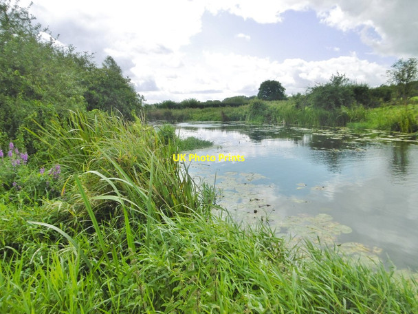 Photo 6"x4" Hinton St Mary, River Stour Hinton St Mary c2017