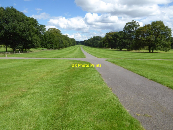 Photo 6"x4" Upper Avenue at Chillington Hall Park Lane\/SJ8806 c2017