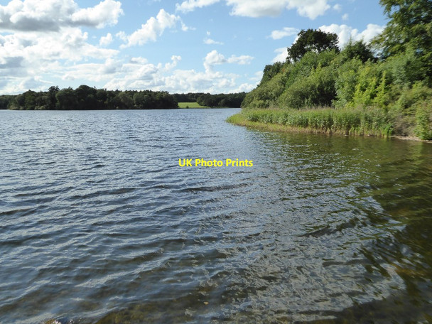 Photo 6"x4" The Pool, Chillington Park Codsall Wood c2017