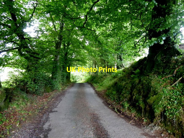 Photo 6"x4" Minor road, Eskernabrogue Augher c2017