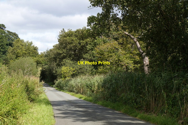 Photo 6"x4" Walkley Bank, near Newport Newport\/SJ7419 c2017