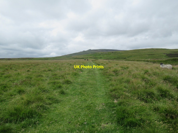 Photo 6"x4" Bridleway towards Linhope Ingram c2017