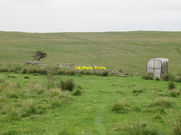 Photo 6"x4" Dilapidated Sheepfold Linhope\/NT9616 c2017