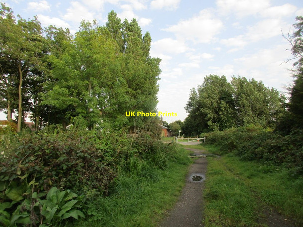 Photo 6"x4" Approaching Station Road, Burstwick Burstwick c2017
