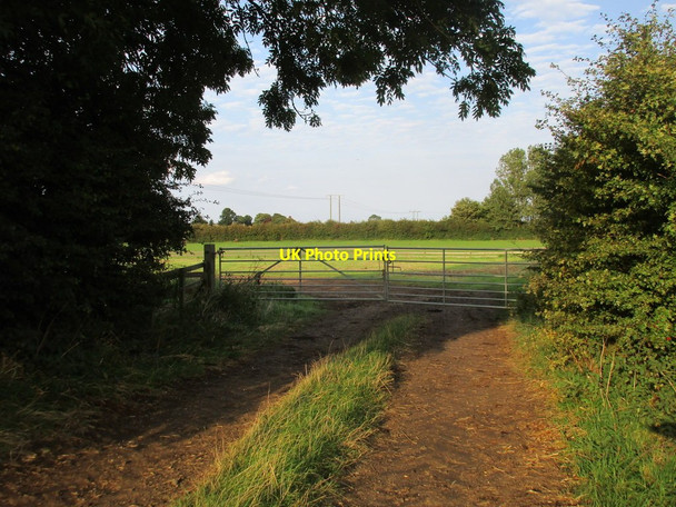 Photo 6"x4" Gates across a farm track Burstwick c2017