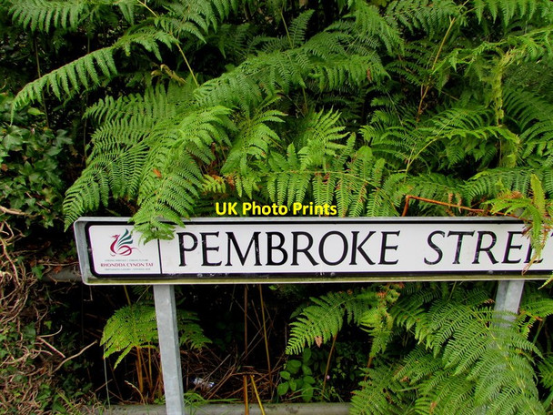 Photo 6"x4" Ferny part of Pembroke Street, Thomastown Thomastown\/ST0087 c2017
