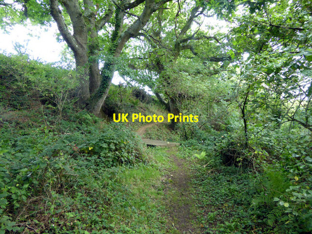 Photo 6"x4" Path towards Alverstone Sandown c2017 P1