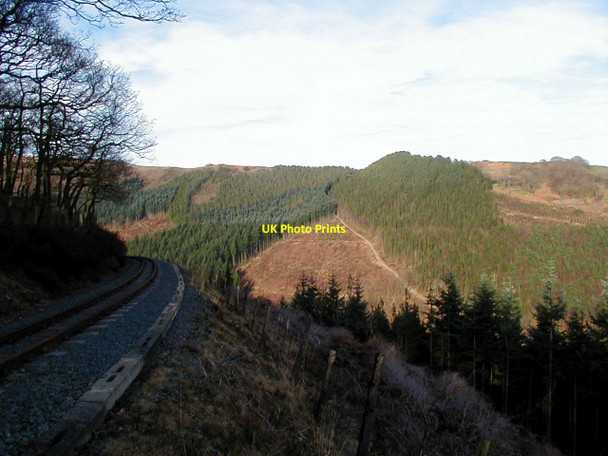 Photo 6"x4" Beside the Vale of Rheidol Railway Devil's Bridge\/Pontarfynach c2001