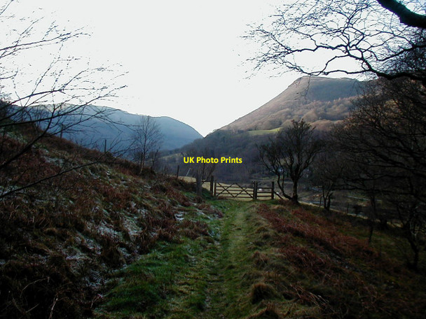 Photo 6"x4" Path in Cwm Rheidol Ystumtuen c2001