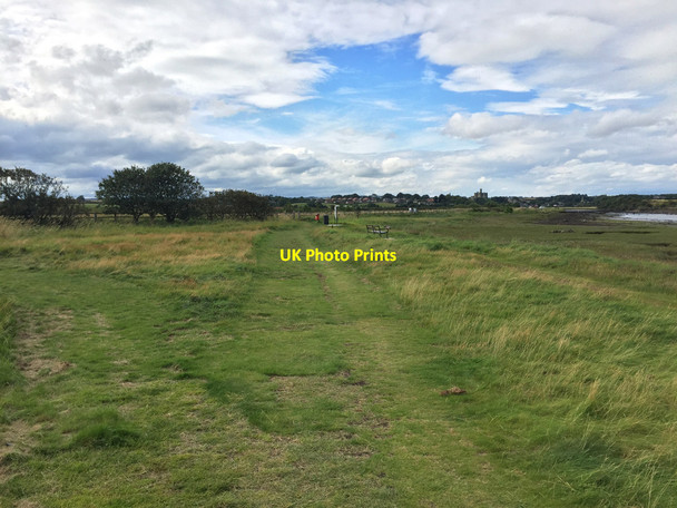 Photo 6"x4" Path towards Warkworth Amble c2017