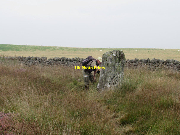 Photo 6"x4" Doddington Moor standing stones East Horton c2017