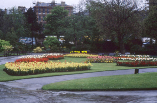Photo 6"x4" Glasgow Botanic Gardens Dowanhill c1983
