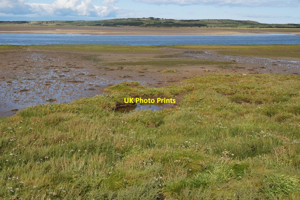 Photo 6"x4" Saltmarsh at Kilspindie, Aberlady Bay Craigielaw c2017