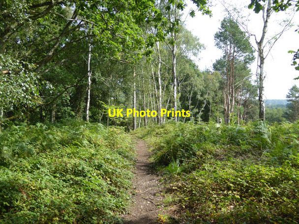 Photo 6"x4" Path, Hazeley Heath Hazeley Heath c2017