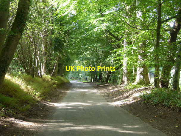 Photo 6"x4" Lane along Rummerhedge Bottom Hook End\/SU6681 c2017
