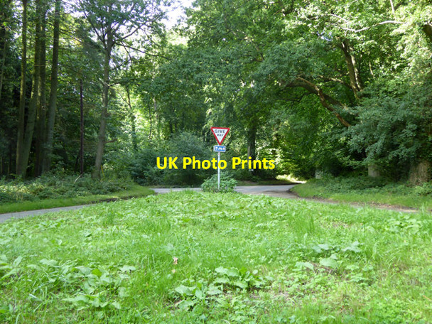 Photo 6"x4" Woodland crossroads Checkendon c2017