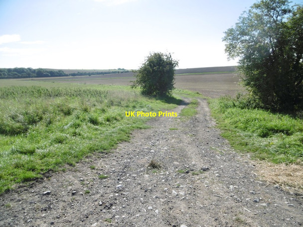 Photo 6"x4" West Lavington, bridleway West Lavington\/SU0052 c2017