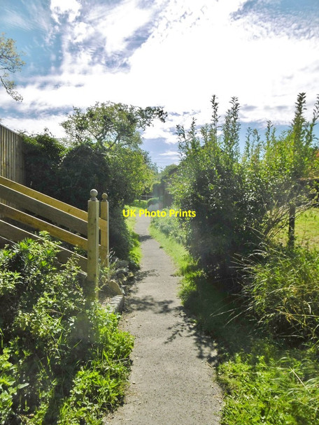 Photo 6"x4" Edington, footpath Edington\/ST9253 c2017
