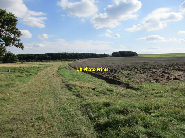 Photo 6"x4" Ploughed area, Low Santon Low Risby c2017