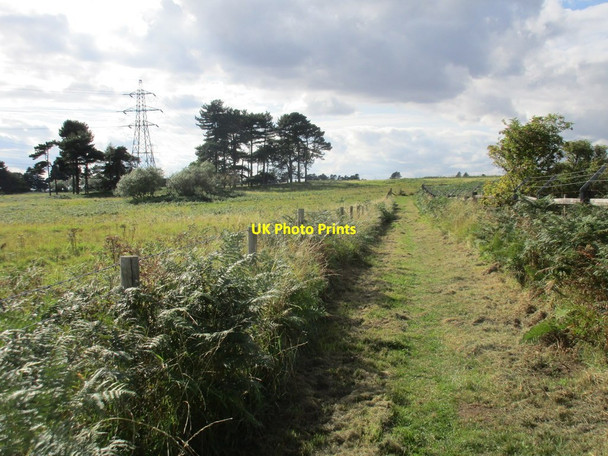 Photo 6"x4" The Opencast Way on Risby Warren High Risby c2017
