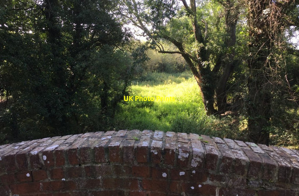 Photo 6"x4" Pallingham Bridge Bedham c2017
